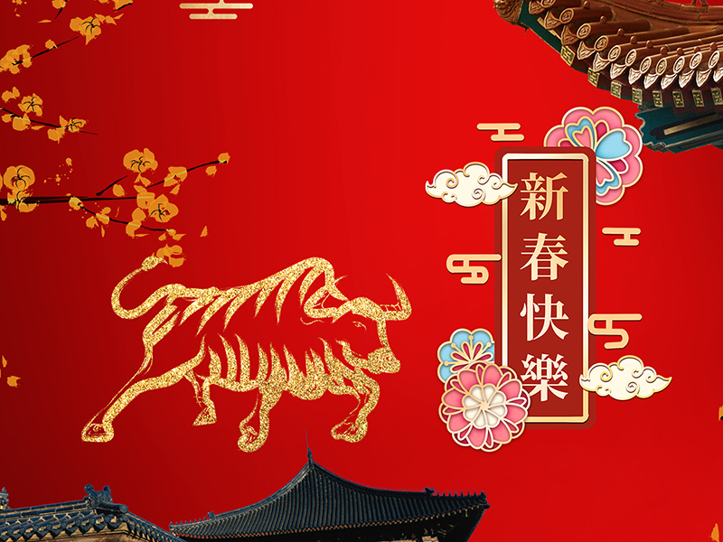 新年快乐! 新年快乐!